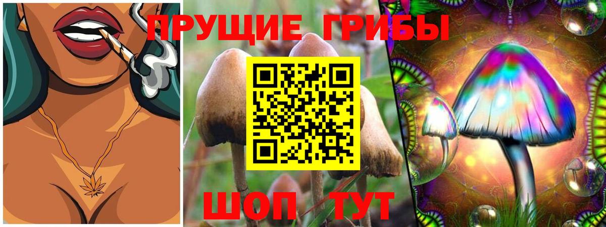 Псилоцибиновые грибы Psilocybe  Вход с VPN  Черногорск 